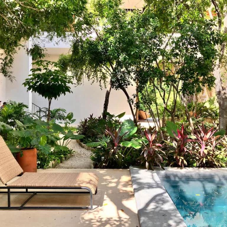 Near beach Ximbal Tulum 6 guest Pool Gym Wi-Fi - Apartment - 61