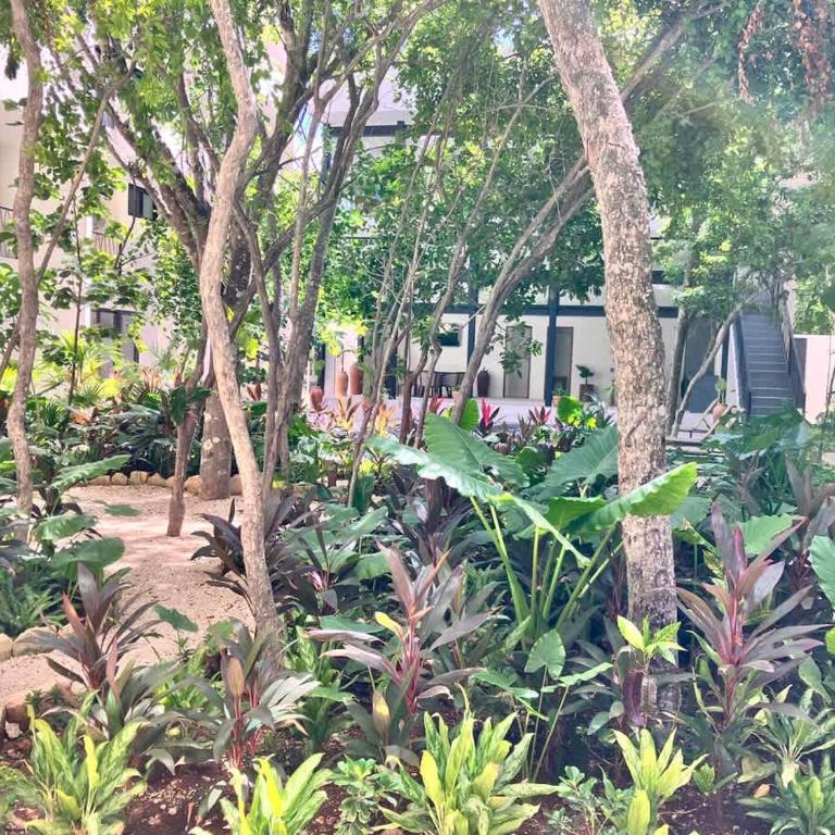 Near beach Ximbal Tulum 6 guest Pool Gym Wi-Fi - Apartment - 73