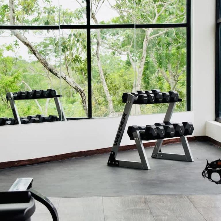 Tulum private jungle cool pool 500 mbps Wi-Fi 3 Bikes King Bed - Apartment - 15