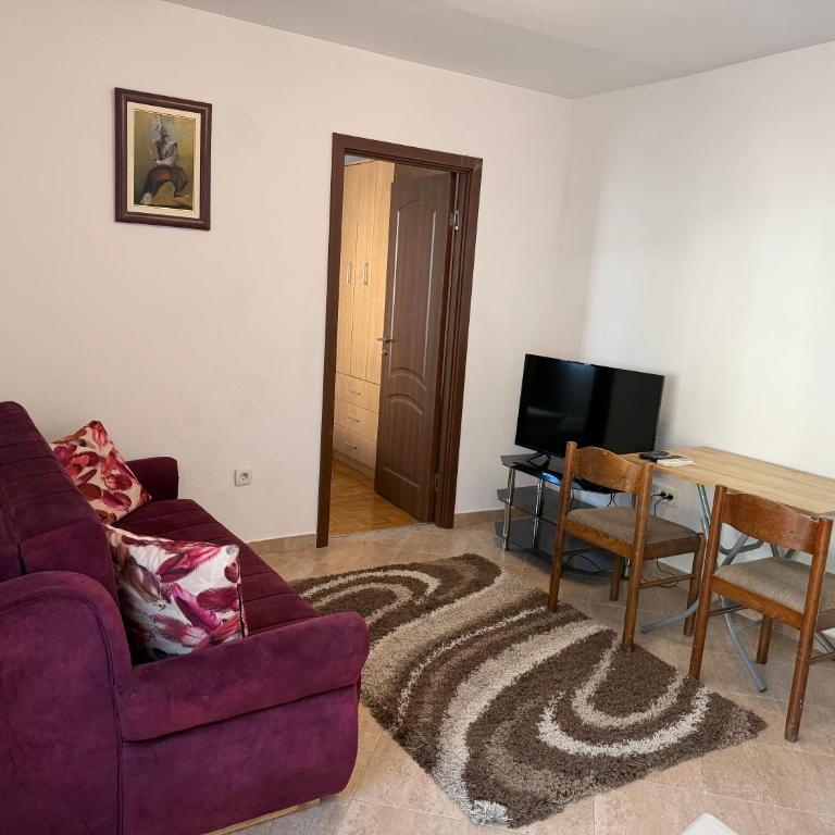 Bozovic Apartmani - Apartman s 1 Spavaćom Sobom i Balkonom - 6