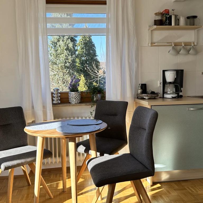 Alpspitzenblick - Estudio con balcón - 5