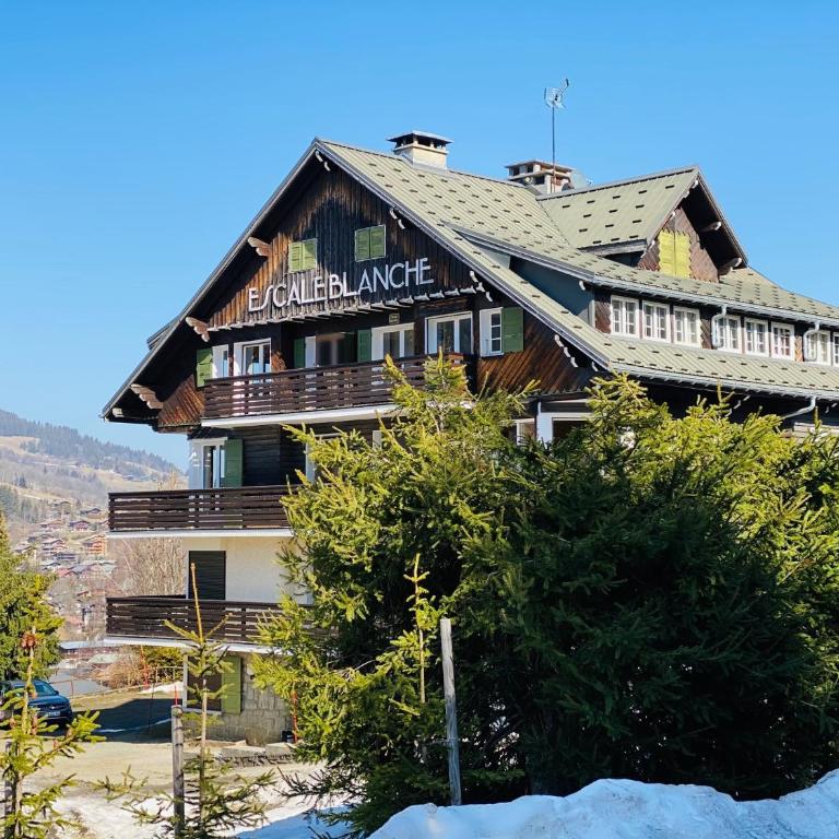 Megève 4 seasons apartment - Apartamento de 2 dormitorios - 25