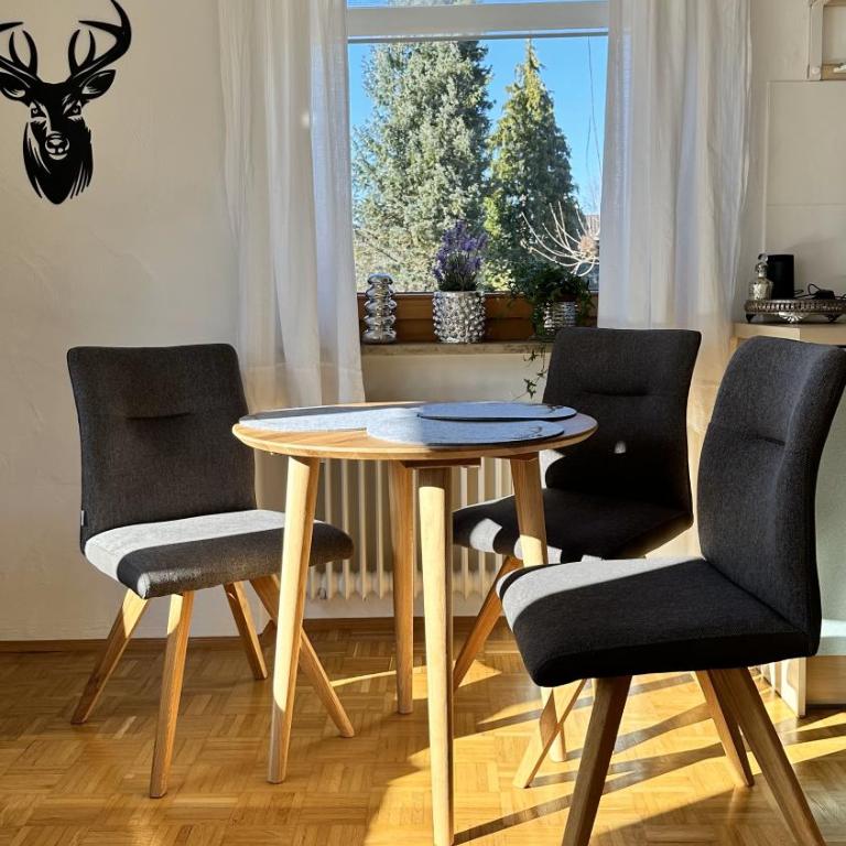 Alpspitzenblick - Estudio con balcón - 4