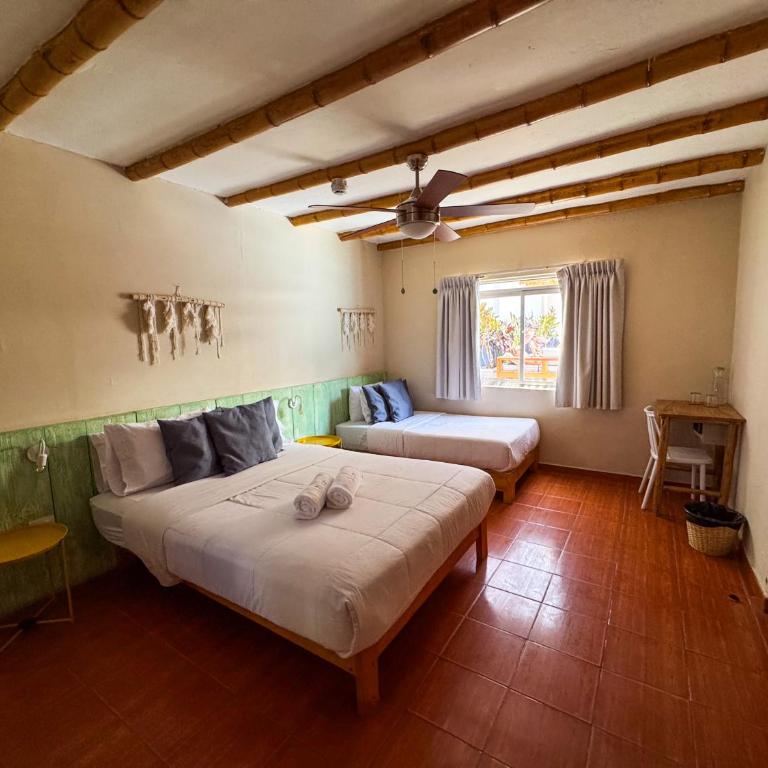 Viajero Paracas Hostel - Double or Twin Room with Private Bathroom - 2