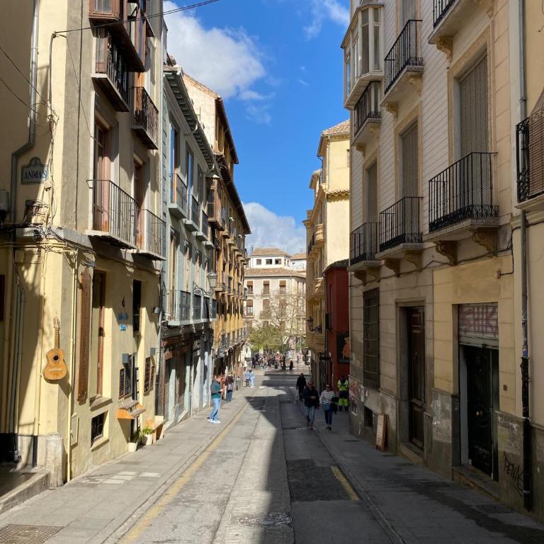 At the foot of the Alhambra - One-Bedroom Apartment - 15