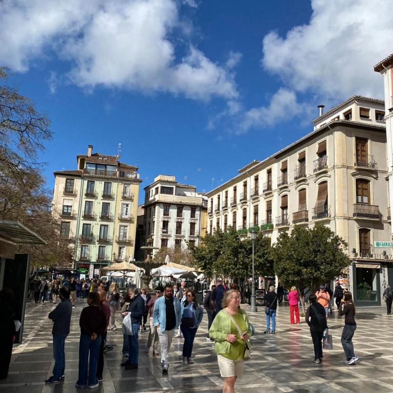 At the foot of the Alhambra - One-Bedroom Apartment - 73