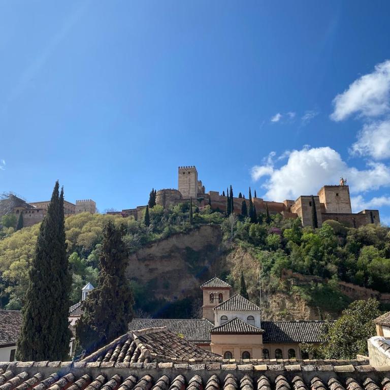 At the foot of the Alhambra - One-Bedroom Apartment - 76