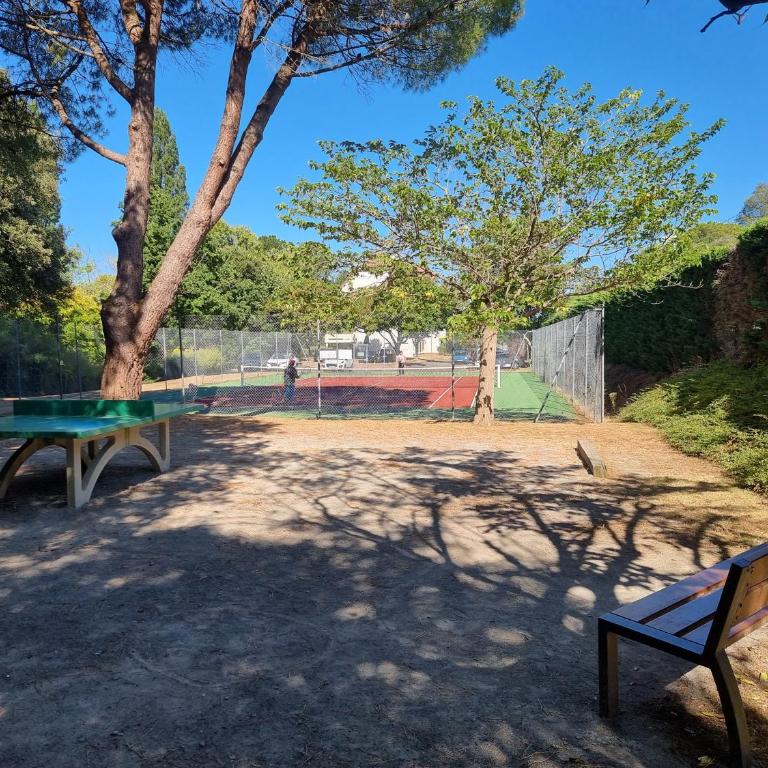 Les Dryades 4 pax appartement - Apartamento de 1 dormitorio - 14