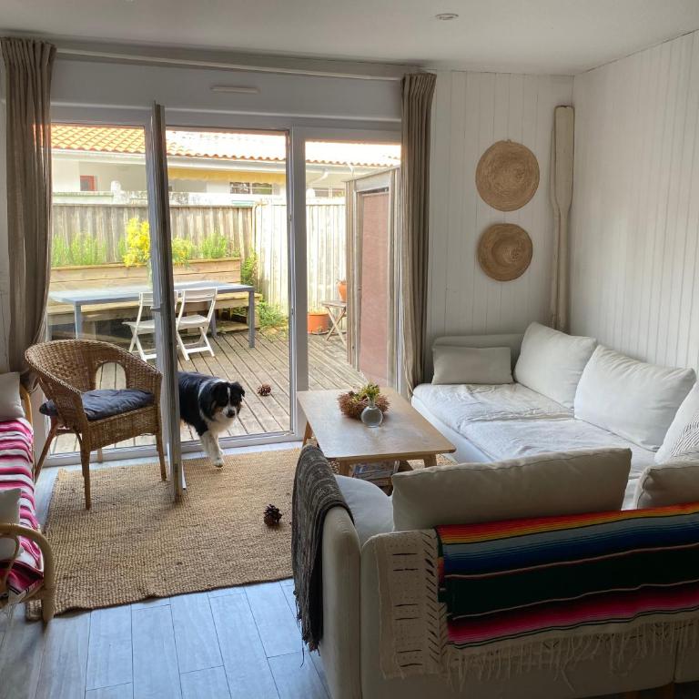 Appartement piscine Cap Ferret 50m du Bassin et des commerces - Appartement avec Terrasse - 7