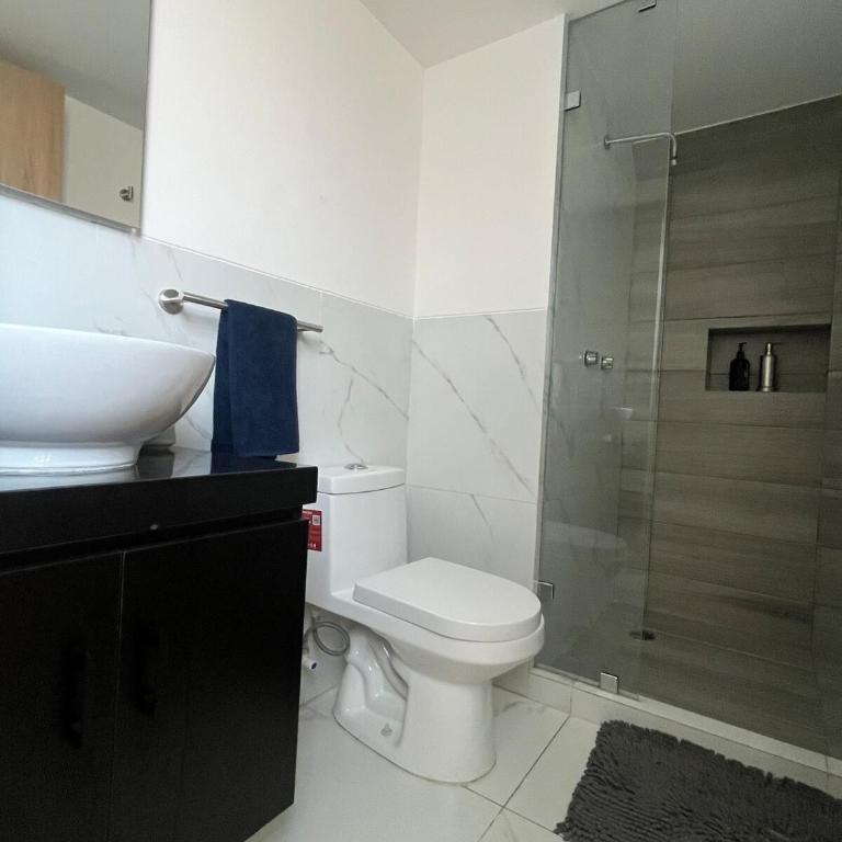 Departamento en Roma Sur - One-Bedroom Apartment - 9