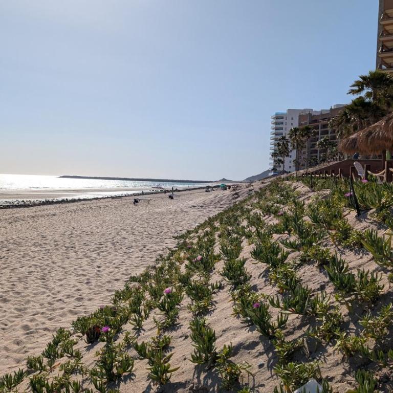 Bella Sirena 601-B -Stylish Condo in Oceanfront Resort - Two-Bedroom Apartment - 46