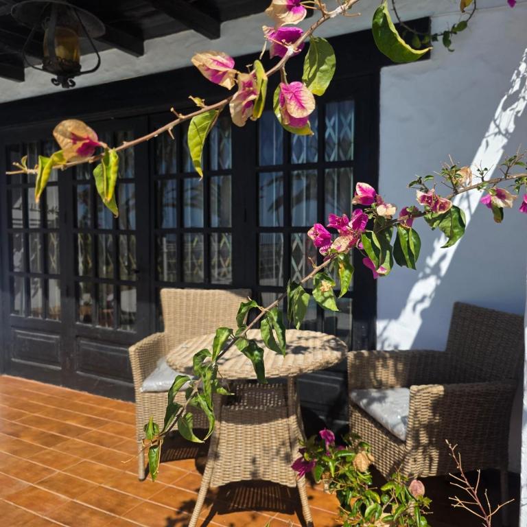 8i Ocean Front Playa 4 - Two-Bedroom Apartment - 12
