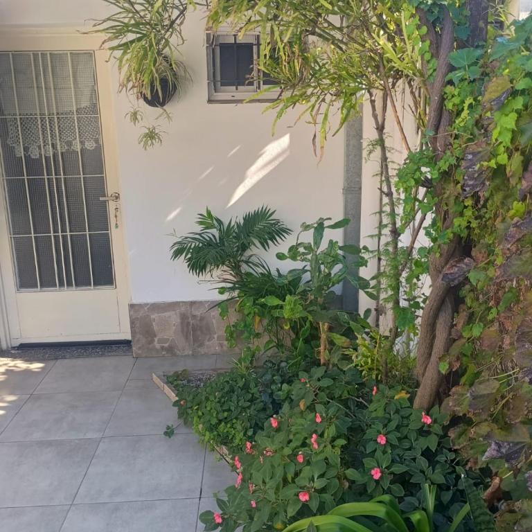 Portal del sur - Apartamento de 1 dormitorio - 6