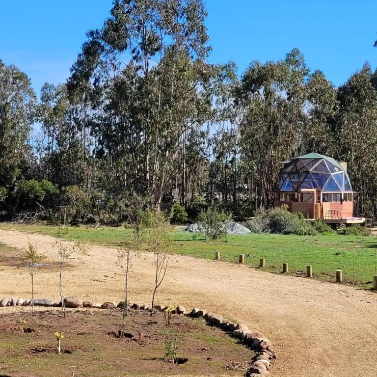 Domo Tunquen - Casa de 2 dormitorios - 6