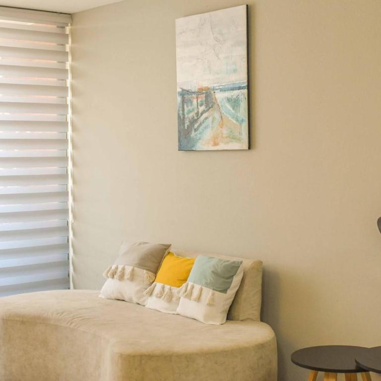Exceptional Apartment, Historic Stgo Metro Sta Ana - Apartamento de 2 dormitorios - 4