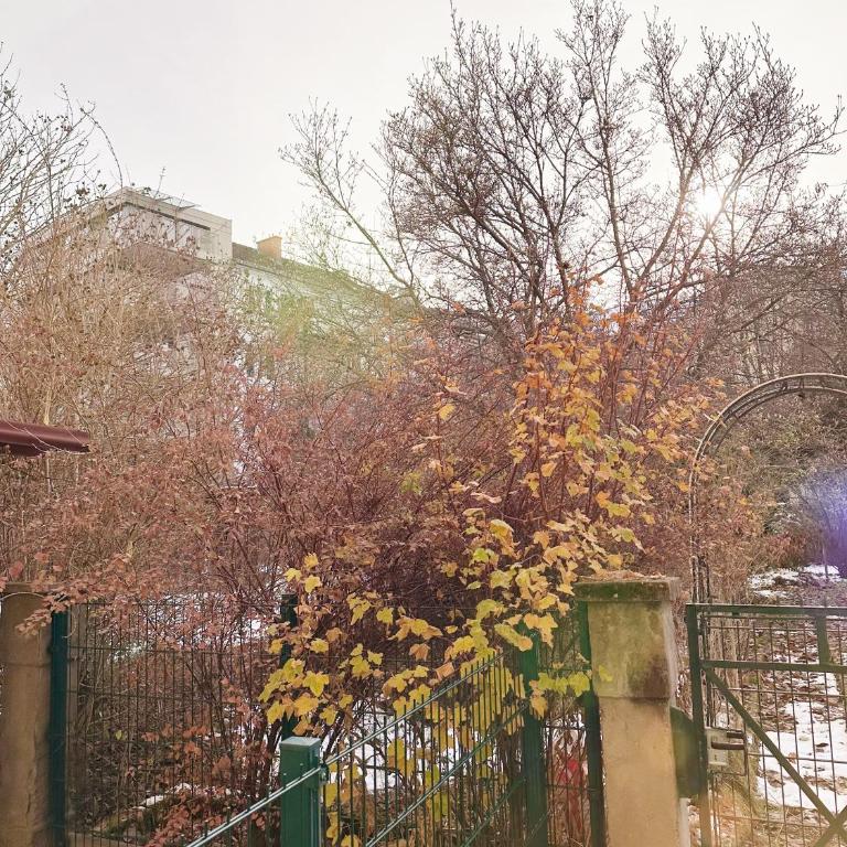 Altbaucharme direkt im Zentrum - Appartamento con 1 Camera da Letto e Vista Giardino - 22