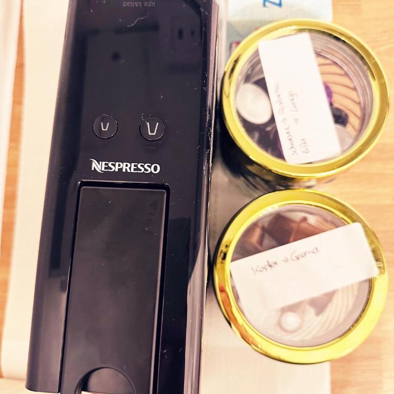 Altbaucharme direkt im Zentrum - Appartamento con 1 Camera da Letto e Vista Giardino - 11