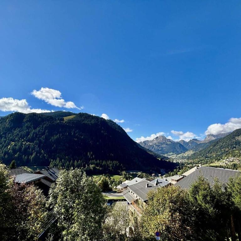 Bartavelles A2 - Appartement de charme dans Châtel - Three-Bedroom Apartment - 2