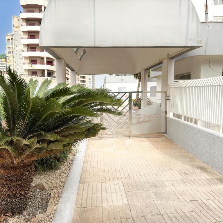 Aquamarina II beachside - Apartamento - 14