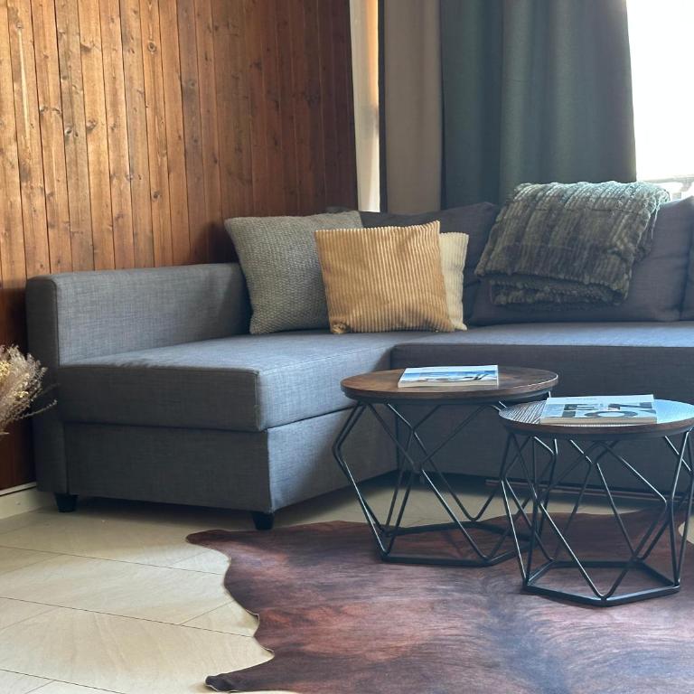 Ski Hide Out Engelberg, Titlis, Luzern - Apartamento de 1 dormitorio - 9