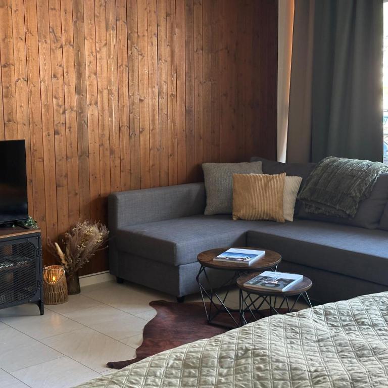 Ski Hide Out Engelberg, Titlis, Luzern - Apartamento de 1 dormitorio - 12