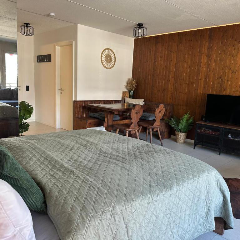 Ski Hide Out Engelberg, Titlis, Luzern - Apartamento de 1 dormitorio - 13