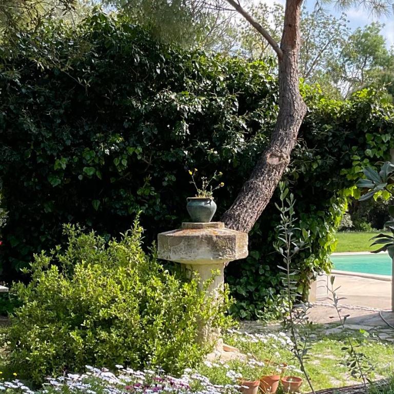 Le Jardin de LaCoste - Suite mit Gartenblick und Terrasse - 31