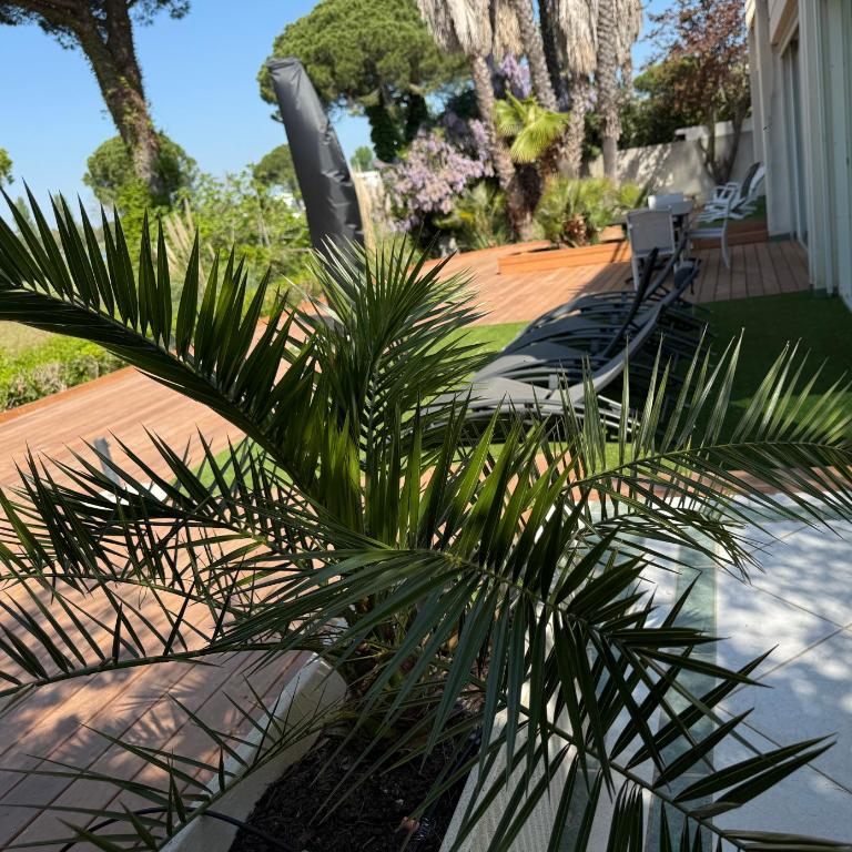 Logement de Prestige avec piscine Vue sur le Golf de la Grande Motte - Villa - 57