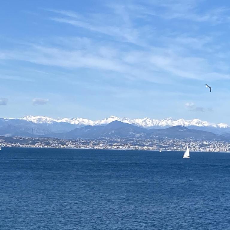 A deux pas des plages et au coeur du vieil Antibes , beau studio rénové - Appartement 1 Chambre - 31