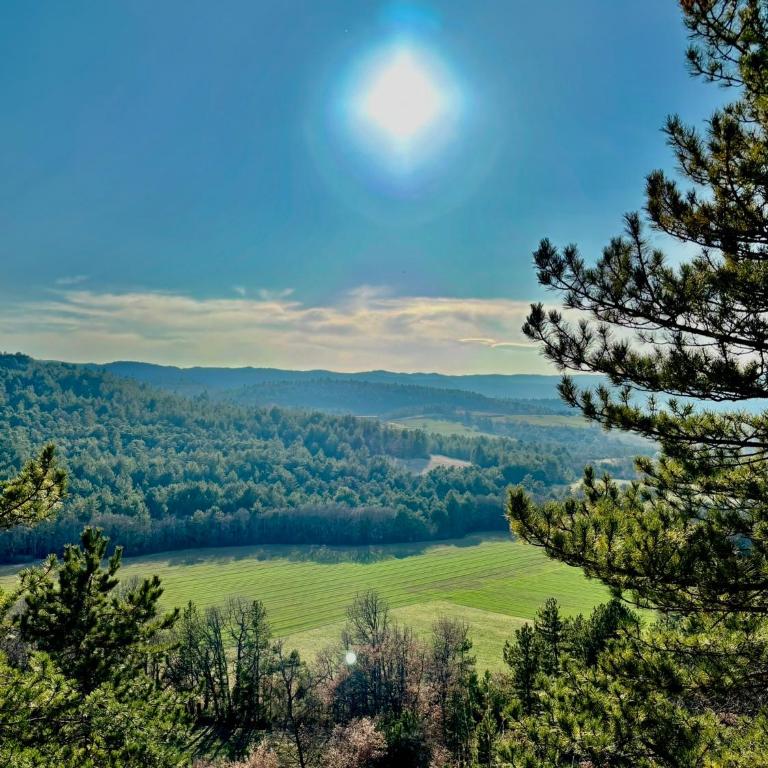 Chambre hotes avec vue panoramique sur la foret - Chambre Double - Vue sur Montagne - 9