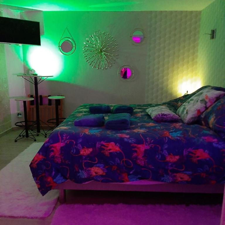 Cassiopée - One-Bedroom Apartment - 2