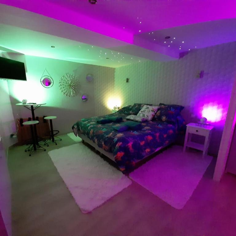 Cassiopée - One-Bedroom Apartment - 5