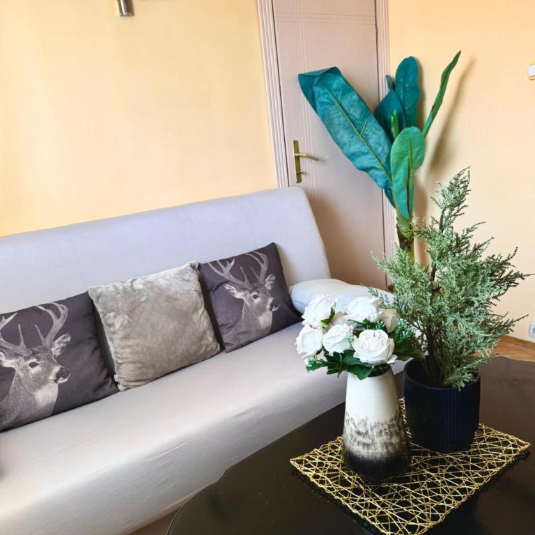 Vila Tošanić - Apartman - Prizemlje - 4