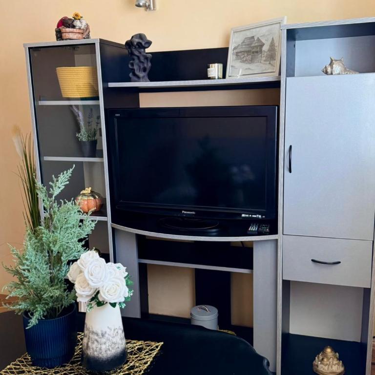 Vila Tošanić - Apartman - Prizemlje - 15