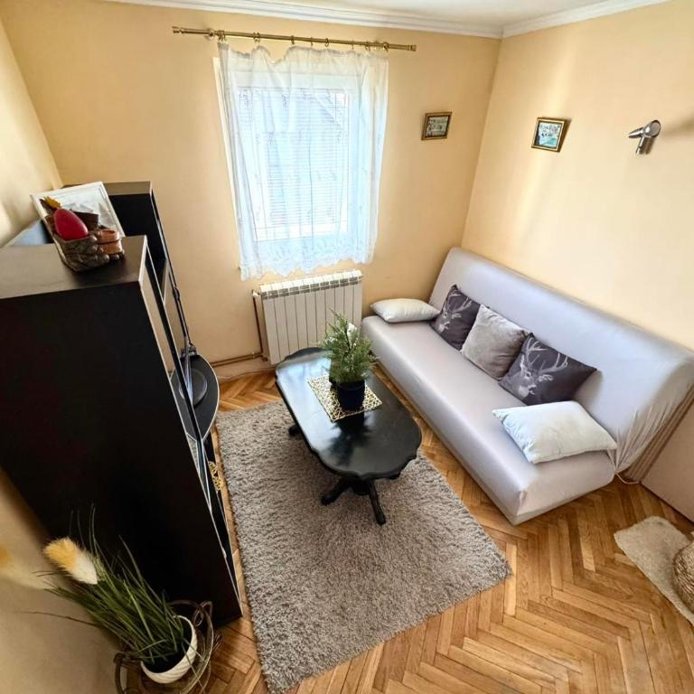 Vila Tošanić - Apartman - Prizemlje - 14