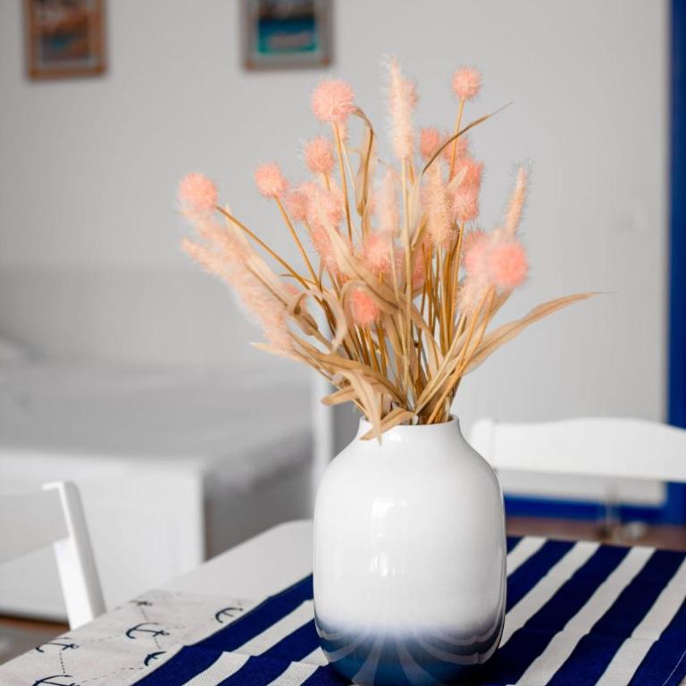 Cozy apartment with garden - Casetta del Pescatore, appartamento intero - One-Bedroom Apartment - 20