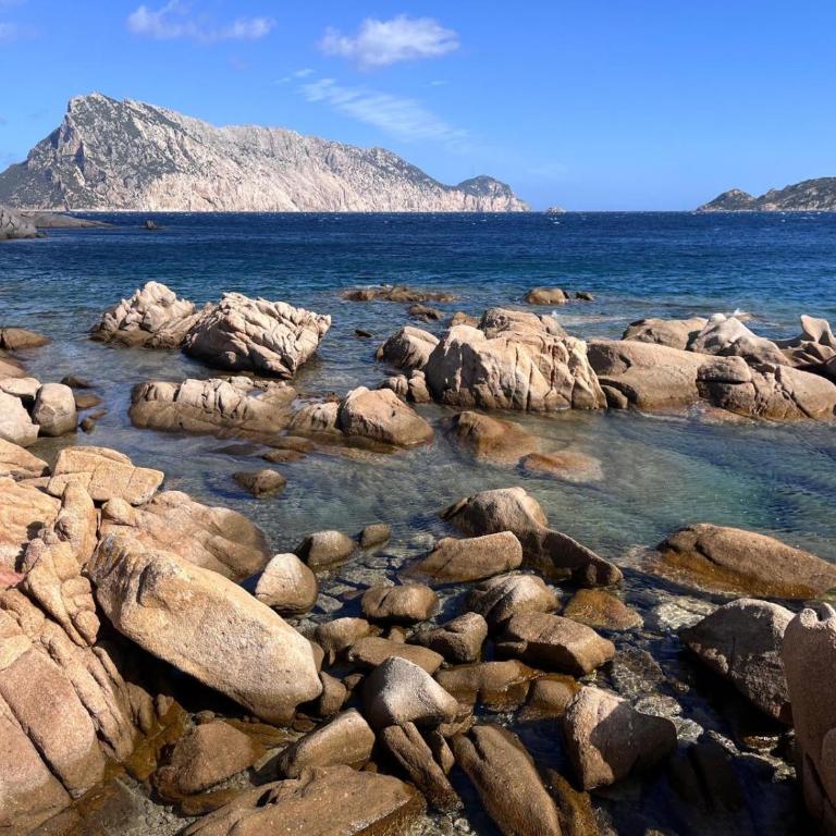 Le Giuggiole di Punta Molara - Villa con 3 Camere da Letto - 27