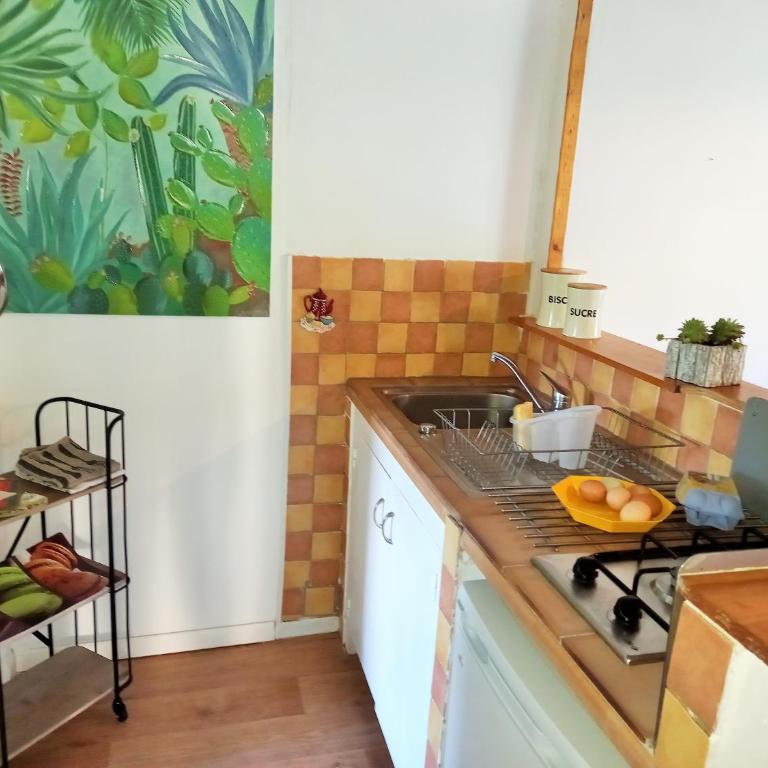 Appartement dans villa provençale, jardins et 3VTT disponibles - Appartement 1 Chambre - 6
