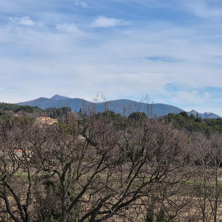 Appartement 80m2 entre vignes et Mont Ventoux - Appartement 2 Chambres - 18