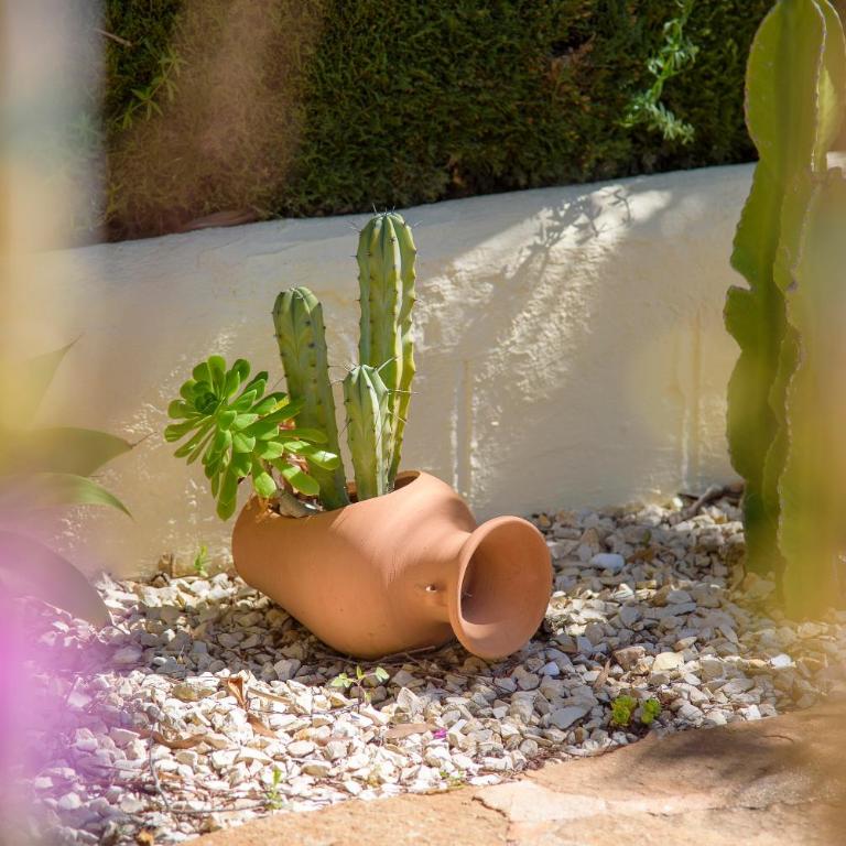 El Sarchal Bohemian holiday home with pool in Moraira - Two-Bedroom House - 37