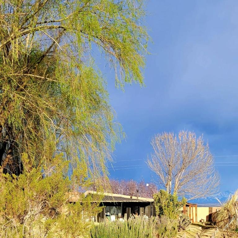 Cottage de los Andes - Casa - 2