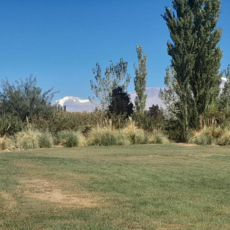 Hospedaje Barreal - Cielo de Huarpes - Dormis - Apartamento de 1 dormitorio - 14