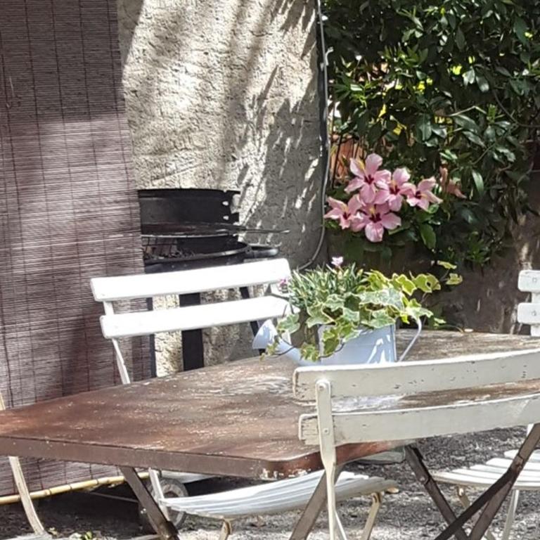 Appartement dans villa provençale, jardins et 3VTT disponibles - Appartement 1 Chambre - 11