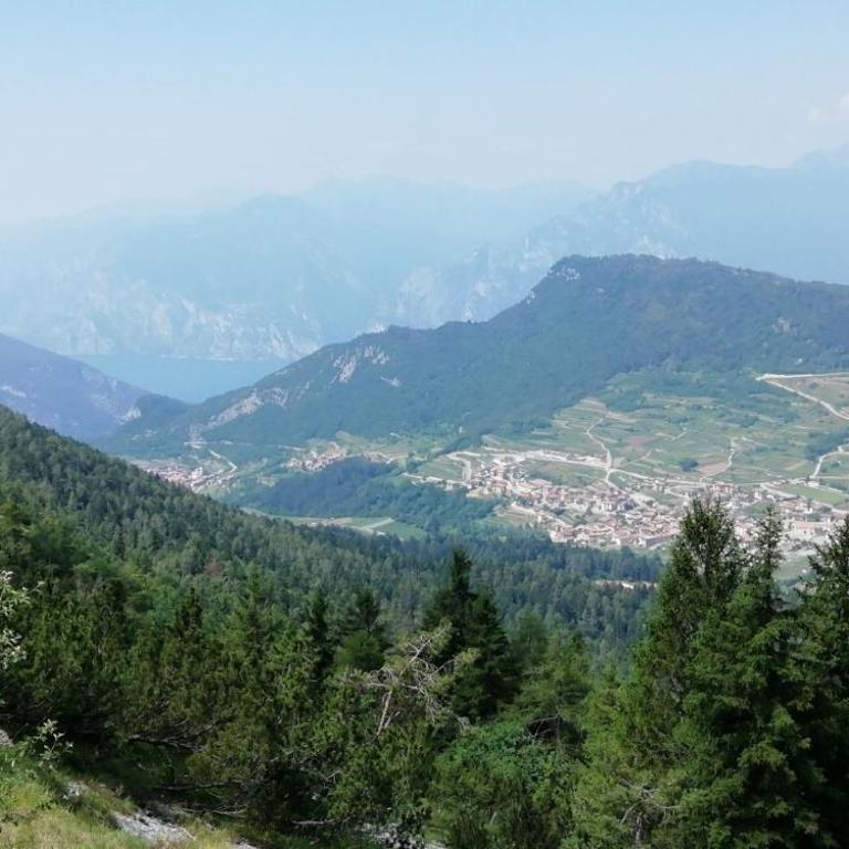 Appartamento di montagna da Agnese - Appartamento con 2 Camere da Letto - 27