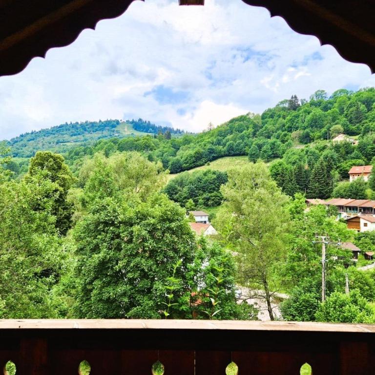 Chalet de montagne à La Bresse, proche des pistes de ski et des lacs - Chalet 4 Chambres - 3