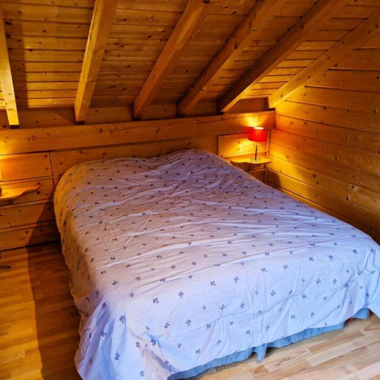 Chalet de montagne à La Bresse, proche des pistes de ski et des lacs - Chalet 4 Chambres - 22