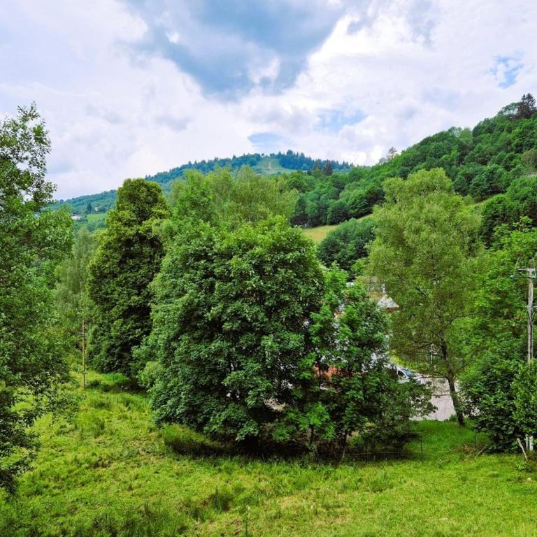 Chalet de montagne à La Bresse, proche des pistes de ski et des lacs - Chalet 4 Chambres - 28