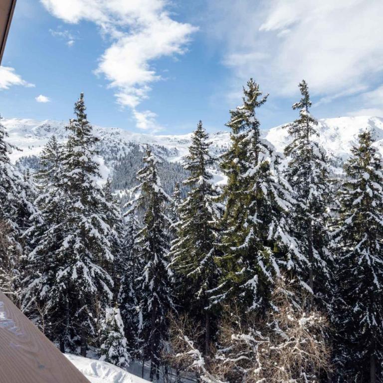 Antarès URSA 401 - luxury apartment ski inski out - Apartment - 23