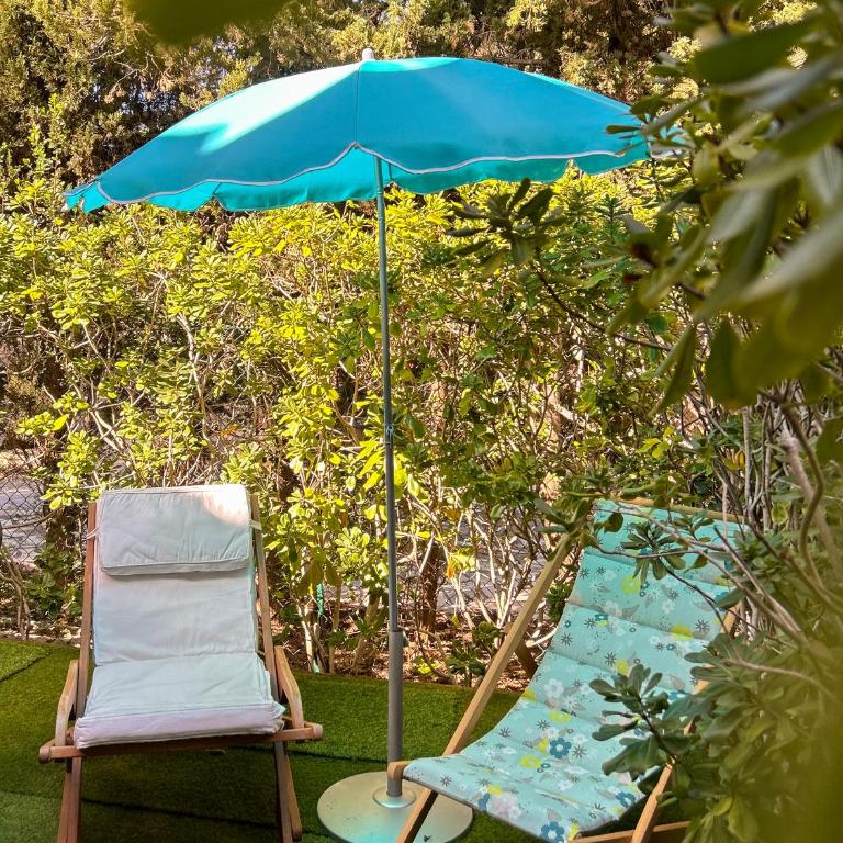 Studio rez de jardin dans résidence avec piscine - Studio - 2