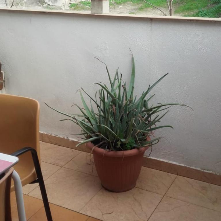 Casa Avenida Guadalquivir - One-Bedroom House - 5